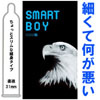 ׂpApAWXgtBbg͈SővySMART BOY